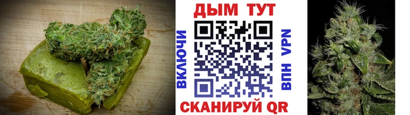 Canna-Cookies конопля  Купить закладки  Ивантеевка 