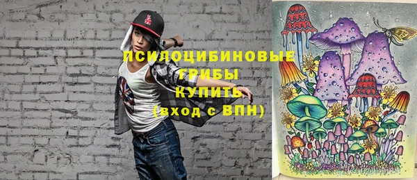 mix Касимов